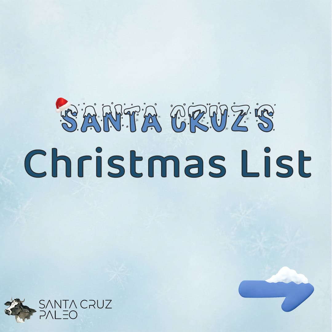 Santa Cruz Christmas Campaign
